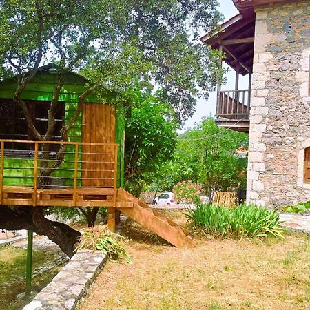 Arcadianis Villa At Psari Trikolonon Gortynia Psárion Dış mekan fotoğraf