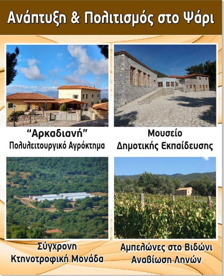 Arcadianis Villa At Psari Trikolonon Gortynia Psárion Dış mekan fotoğraf