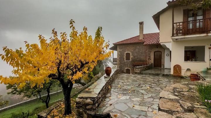 Arcadianis Villa At Psari Trikolonon Gortynia Psárion Dış mekan fotoğraf